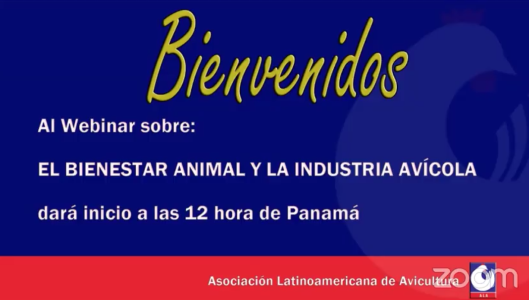 Sigue la transmisión en vivo del webinar de bienestar animal organizado por ALA Sigue la transmisión en vivo del webinar de bienestar animal organizado por ALA