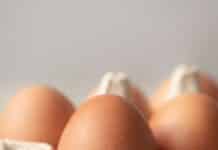 Las exportaciones de huevos en Brasil crecieron 30,9% en volumen en enero