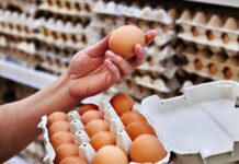 Argentina se consolida como el primer consumidor mundial de huevo segun el ILH