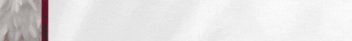 spot_img