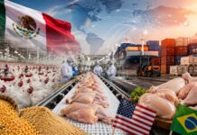 México producirá más pollo, pero las importaciones seguirán creciendo