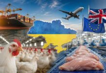 Ucrania proyecta aumentar sus exportaciones avícolas y encuentra en Reino Unido un mercado estratégico