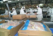 Argentina logró la reapertura del mercado de Japón para carne aviar y ovoproductos
